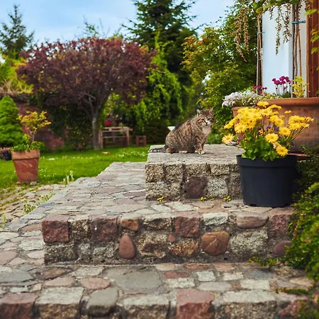 Spokoj & Dobro - Slow Life *