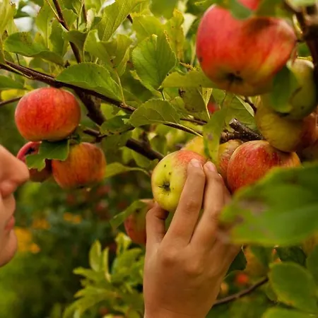 아파트 Spokoj & Dobro - Slow Life *