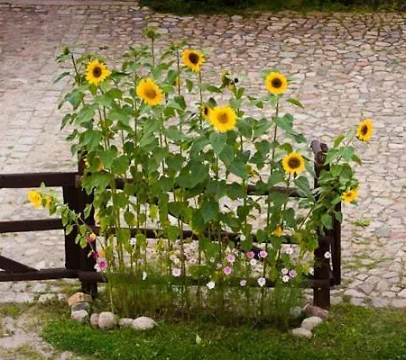 Spokoj & Dobro - Slow Life דירה