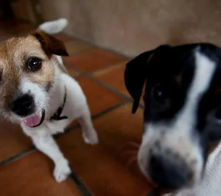 דירה Spokoj & Dobro - Slow Life *