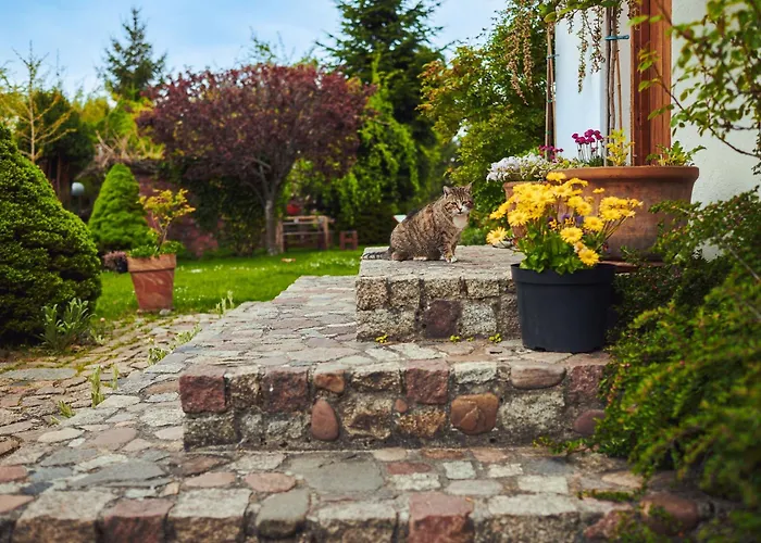 Spokoj & Dobro - Slow Life *