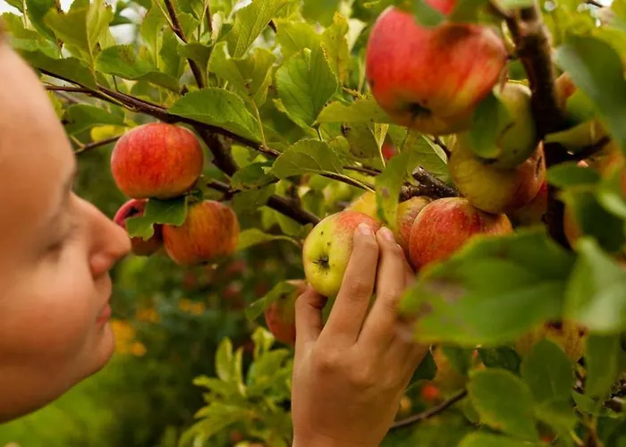 Apartmán Spokoj & Dobro - Slow Life *