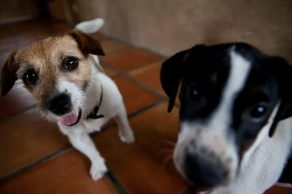 Apartmán Spokoj & Dobro - Slow Life *